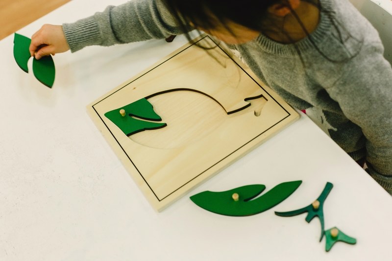 Material de Științe Montessori